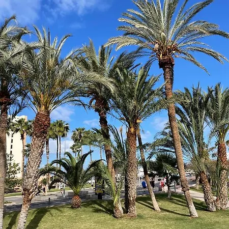 Piteras One Bedroom With Pool In Playa De Americas *