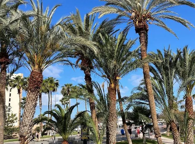 Las Piteras One Bedroom Apartment With Pool In Playa De Las Americas *